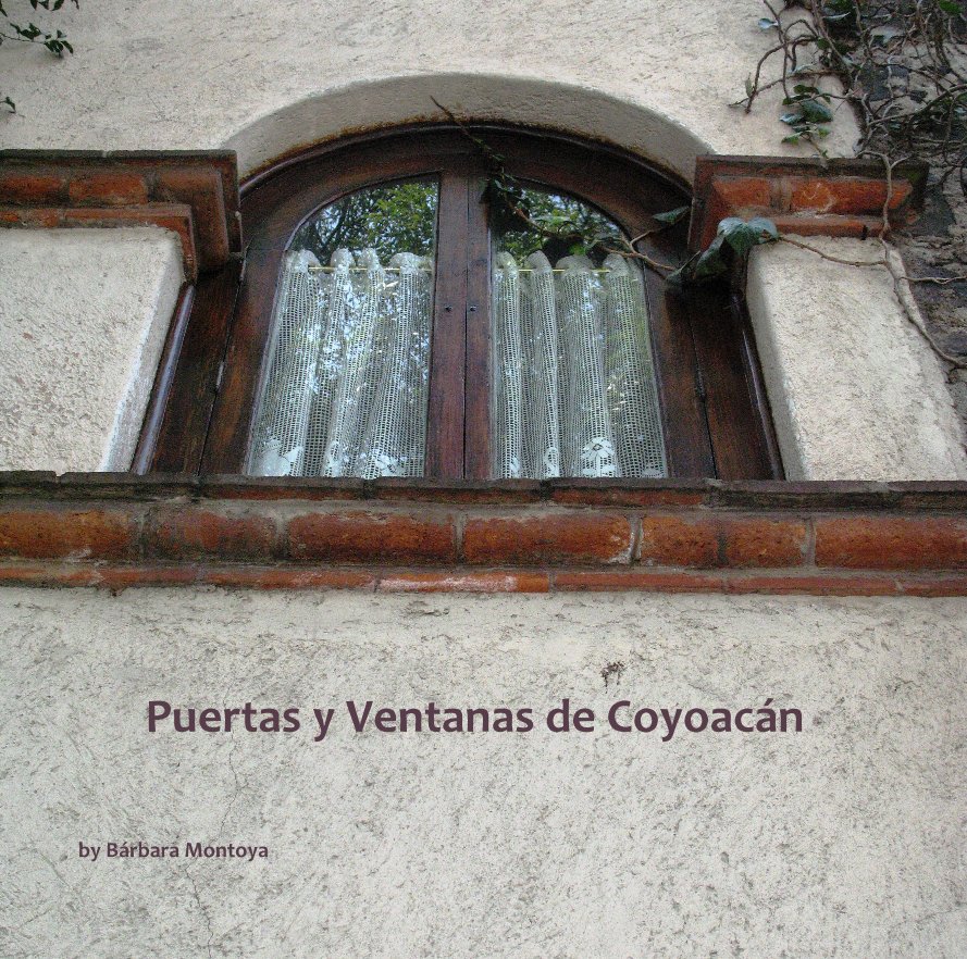 Ver Puertas y Ventanas de Coyoacán por Bárbara Montoya