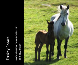 Eriskay Ponies book cover