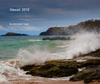 Hawaii 2010 book cover