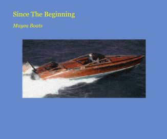 Since The Beginning book cover