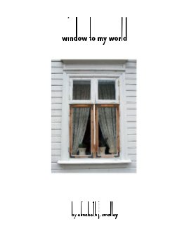 window to my world book cover