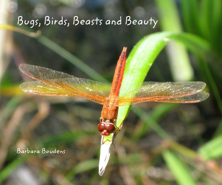 Ver Bugs, Birds, Beasts and Beauty por Barbara Boudens