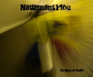 Nettement Flou book cover