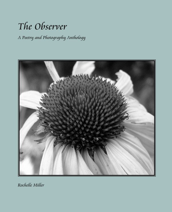 View The Observer by Rochelle Miller