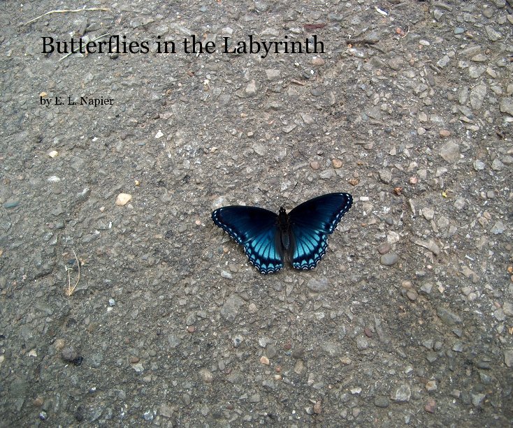 Bekijk Butterflies in the Labyrinth op E. L. Napier