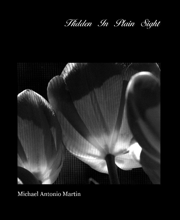 View Hidden In Plain Sight by Michael Antonio Martin