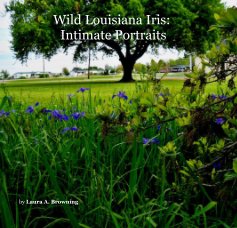 Wild Louisiana Iris: Intimate Portraits book cover