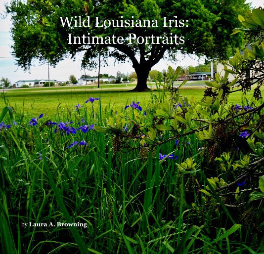 View Wild Louisiana Iris: Intimate Portraits by Laura A. Browning