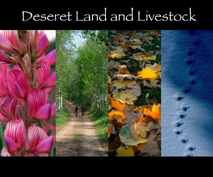 View The Ranch Book *Revised* (Premium Paper) by daynablauer