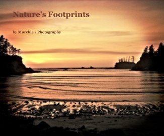 Nature's Footprints book cover