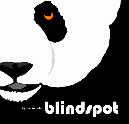View BLINDSPOT by Sandra Miller