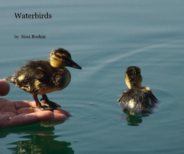 View Waterbirds by Sissi Boehm
