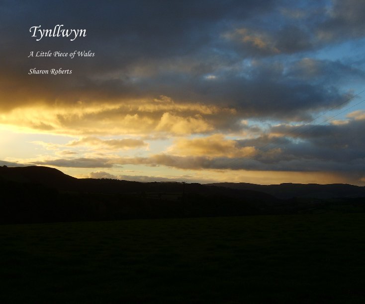 View Tynllwyn by Sharon Roberts