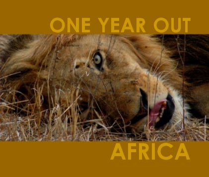 One Year Out | Africa book cover