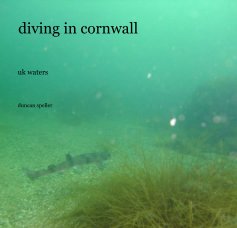 diving in cornwall book cover