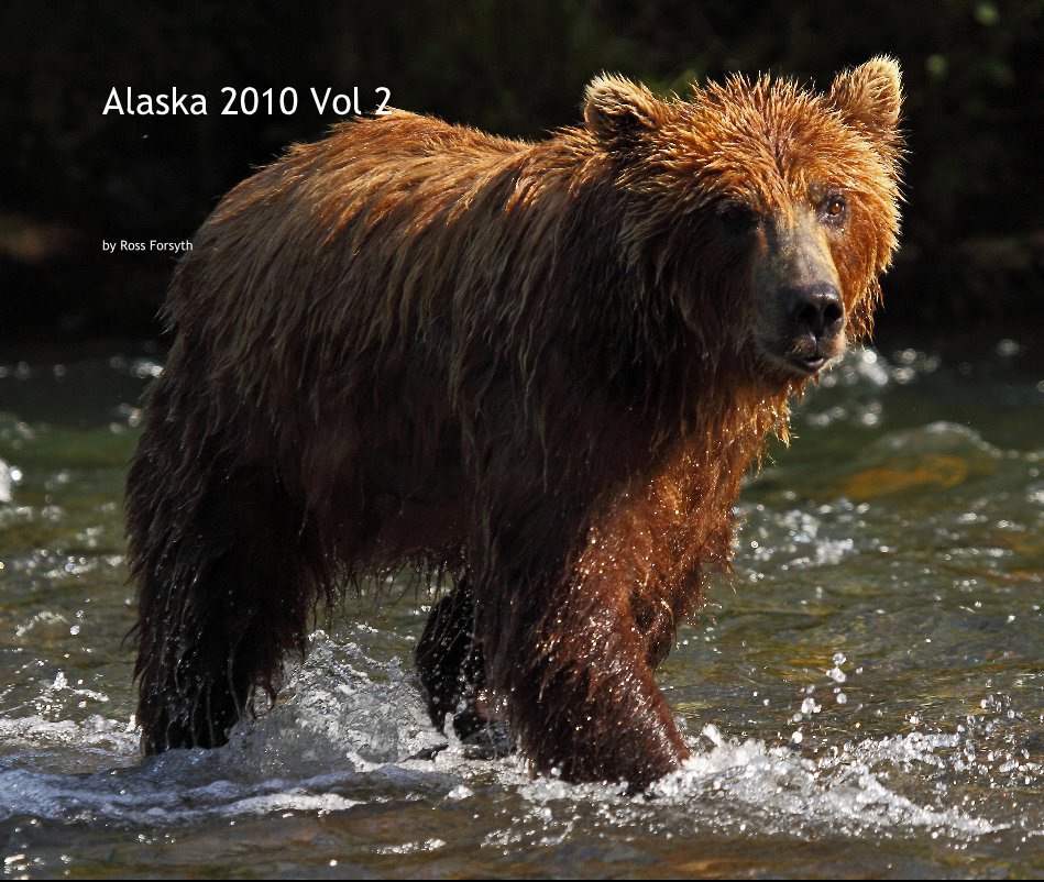 View Alaska 2010 Vol 2 by Ross Forsyth