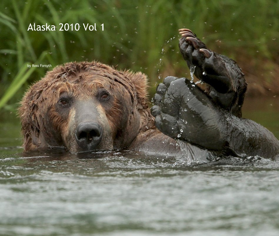 View Alaska 2010 Vol 1 by Ross Forsyth