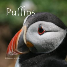 Puffins book cover