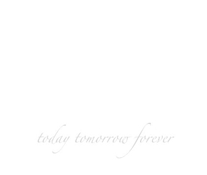 today tomorrow forever book cover