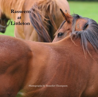 Rasseem at Littleton book cover