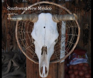 Southwest New Mexico book cover