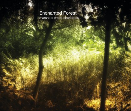 Enchanted Forest book cover
