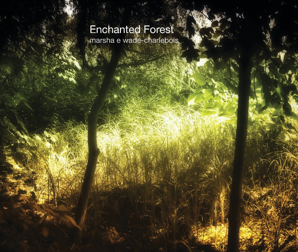 View Enchanted Forest by marsha e wade-charlebois