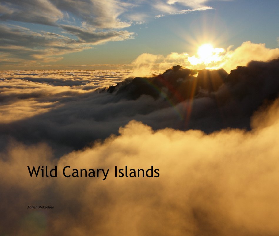 View Wild Canary Islands by Adrian Metzelaar