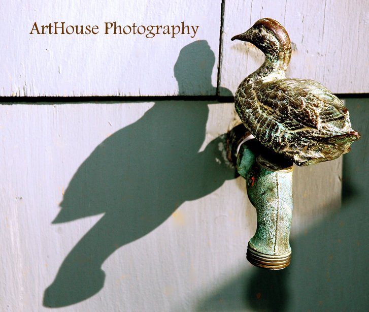 View ArtHouse Photography by lschneider