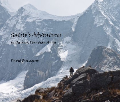Gatito's Adventures book cover