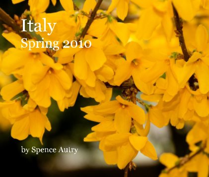 Italy Spring 2010 book cover