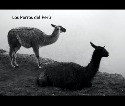Los Perros del Peru book cover