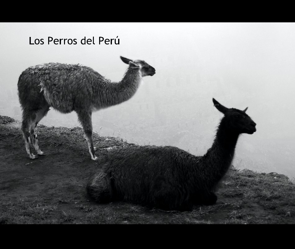 View Los Perros del Peru by Rod Davis