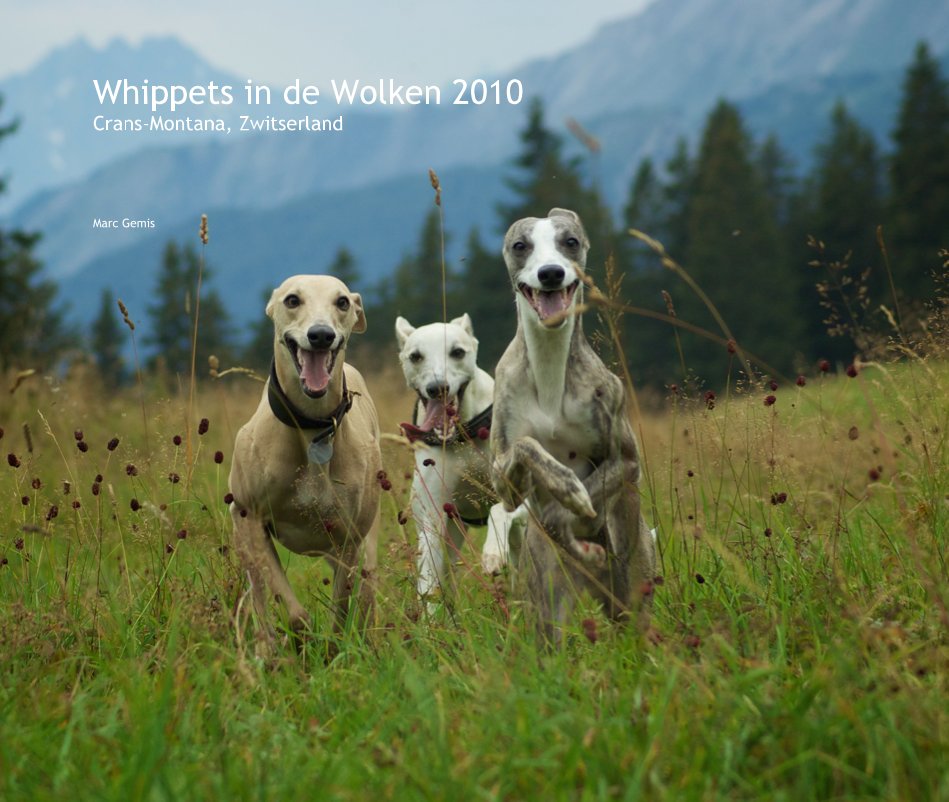 Visualizza Whippets in de Wolken 2010 Crans-Montana, Zwitserland di Marc Gemis