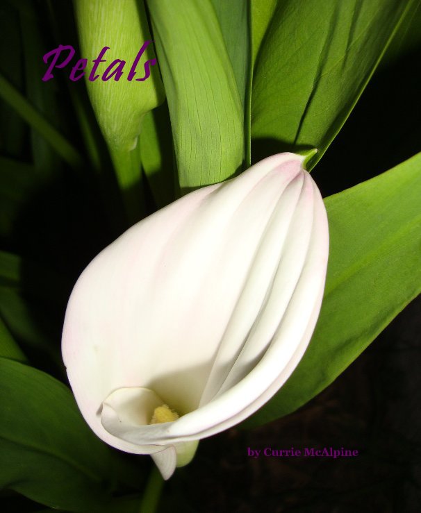 View Petals by Currie McAlpine