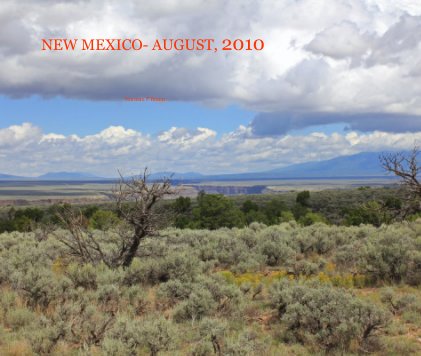 NEW MEXICO- AUGUST, 2010 book cover