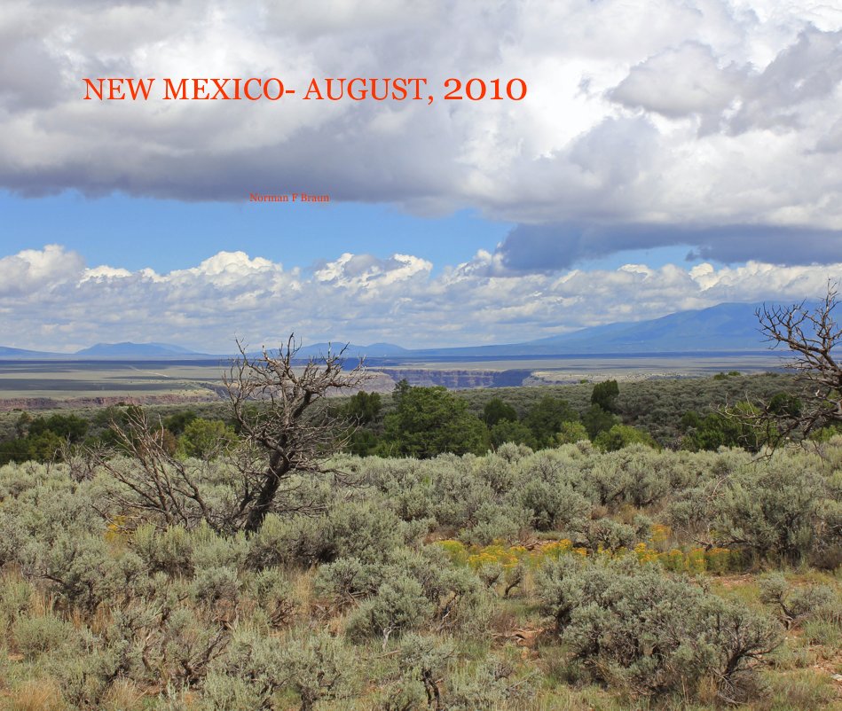 Bekijk NEW MEXICO- AUGUST, 2010 op Norman F Braun