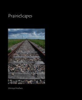 PrairieScapes book cover