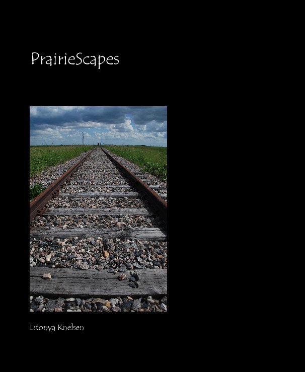 View PrairieScapes by Litonya Knelsen