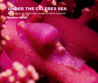 UNDER THE CELEBES SEA book cover