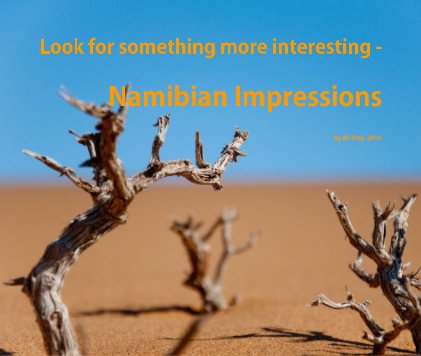 Look for something more interesting - Namibian Impressions book cover