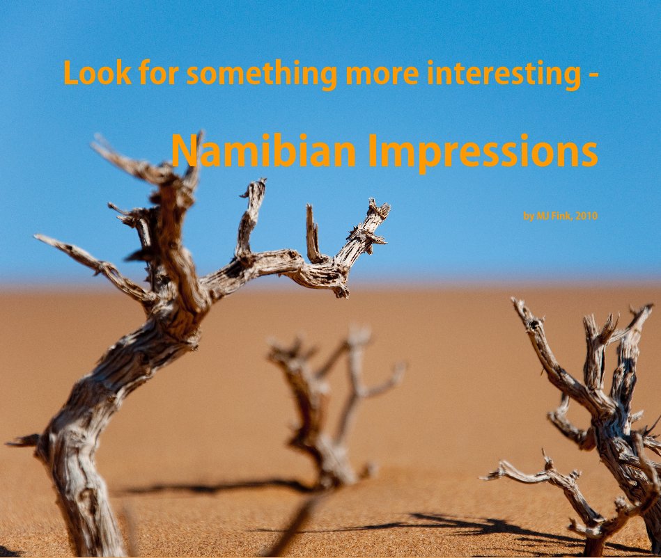 Ver Look for something more interesting - Namibian Impressions por MJ Fink, 2010