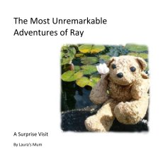 The Most Unremarkable Adventures of Ray book cover