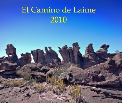 El Camino de Laime 2010 book cover