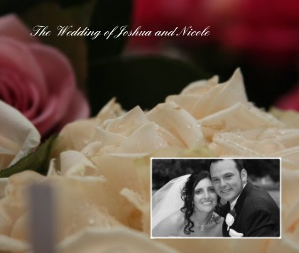 The Wedding of Joshua and Nicole book cover
