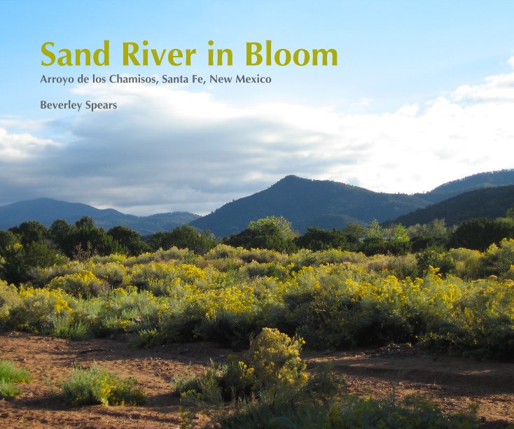 Ver Sand River in Bloom por Beverley Spears