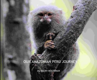 OUR AMAZONIAN PERU JOURNEY book cover