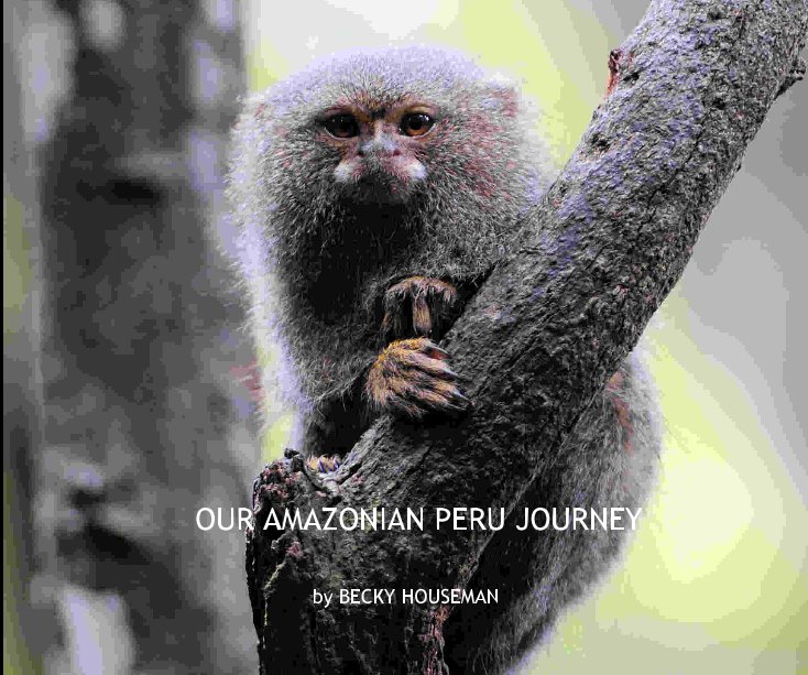 OUR AMAZONIAN PERU JOURNEY nach BECKY HOUSEMAN anzeigen