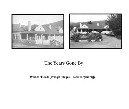 The Years Gone By book cover