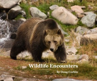 Wildlife Encounters book cover